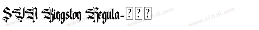 SVN Kingston Regula字体转换